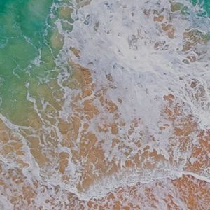 Meet your Posher, Selam